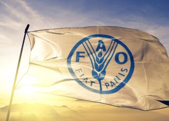 ΟΡΓΑΝΙΣΜΟΣ ΤΡΟΦΙΜΩΝ ΚΑΙ ΓΕΩΡΓΙΑΣ ΤΟΥ ΟΗΕ (FAO)