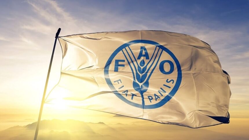 ΟΡΓΑΝΙΣΜΟΣ ΤΡΟΦΙΜΩΝ ΚΑΙ ΓΕΩΡΓΙΑΣ ΤΟΥ ΟΗΕ (FAO)