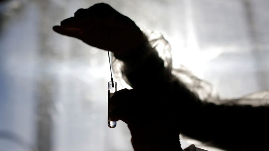 ΓΑΛΛΙΑ .,ΠΛΑΣΤΑ ΠΙΣΤΟΠΟΙΗΤΙΚΑ ΕΜΒΟΛΙΑΣΜΟΥ., ΕΜΒΟΛΙΟ COVID-19., ΚΟΡOΝΟΪΟΣ