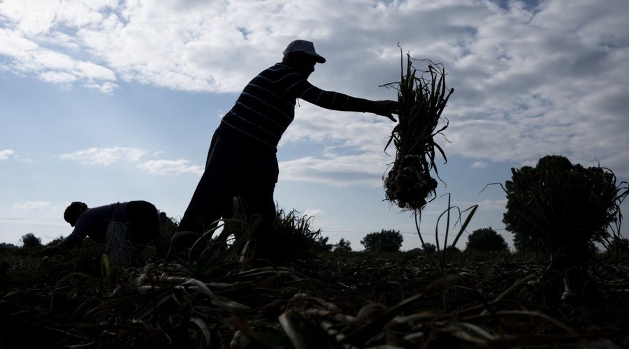 ΟΠΕΚΕΠΕ: ΔΙΑΨΕΥΔΕΙ ΓΙΑ ΤΑ “ΚΟΚΚΙΝΑ” ΑΓΡΟΤΕΜΑΧΙΑ – “ΔΕΝ ΕΠΗΡΕΑΖΕΤΑΙ Η ΠΛΗΡΩΜΗ ΤΗΣ ΒΑΣΙΚΗΣ ΕΝΙΣΧΥΣΗΣ”